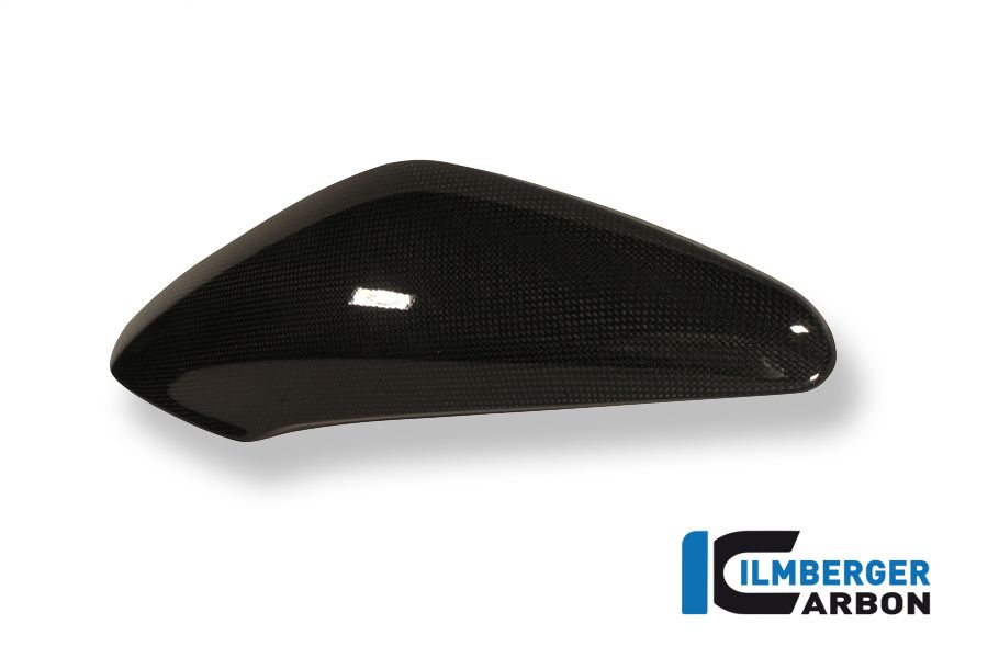 
                  
                    Outer Wind Deflector Right Side Carbon Triumph Speed ​​Triple 1050 (2011-2015)
                  
                