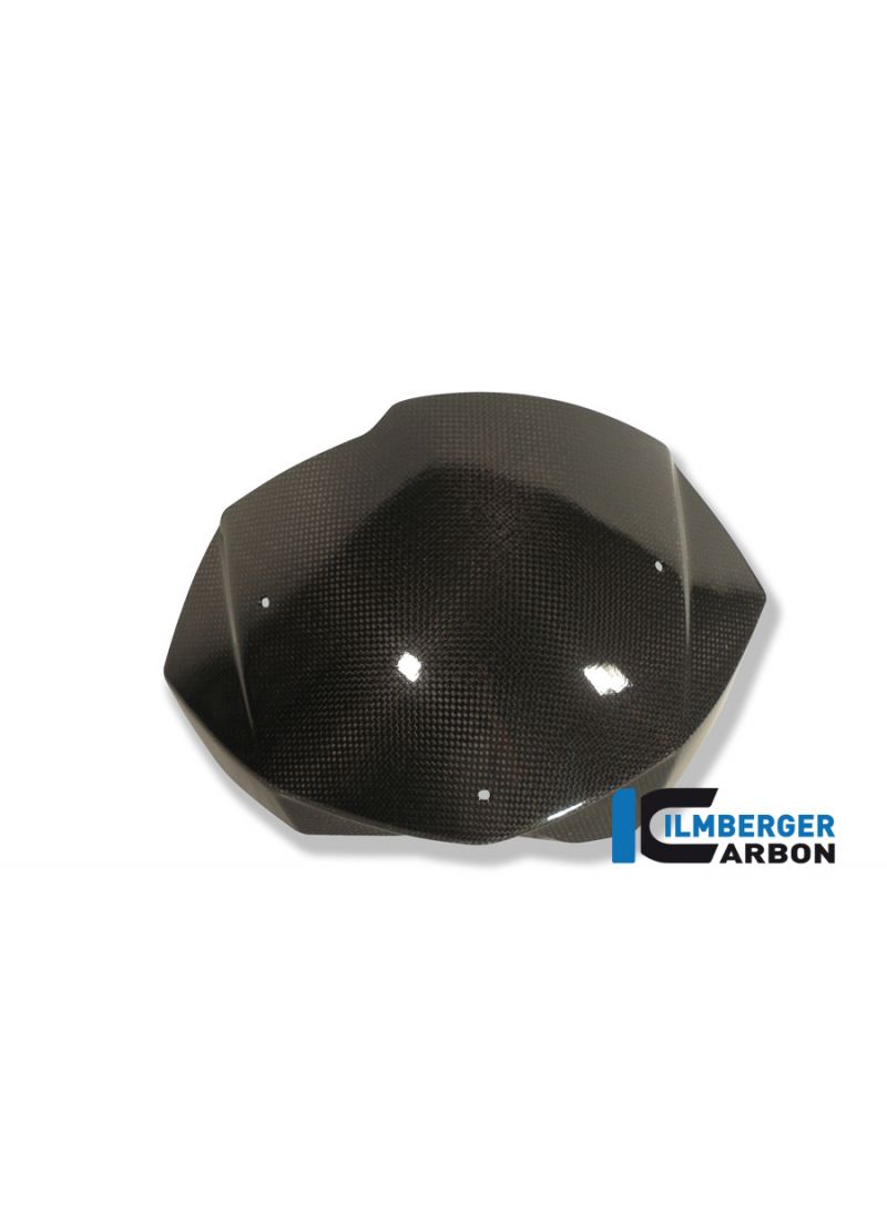 Windshield Carbon BMW F800R (2012-2014)