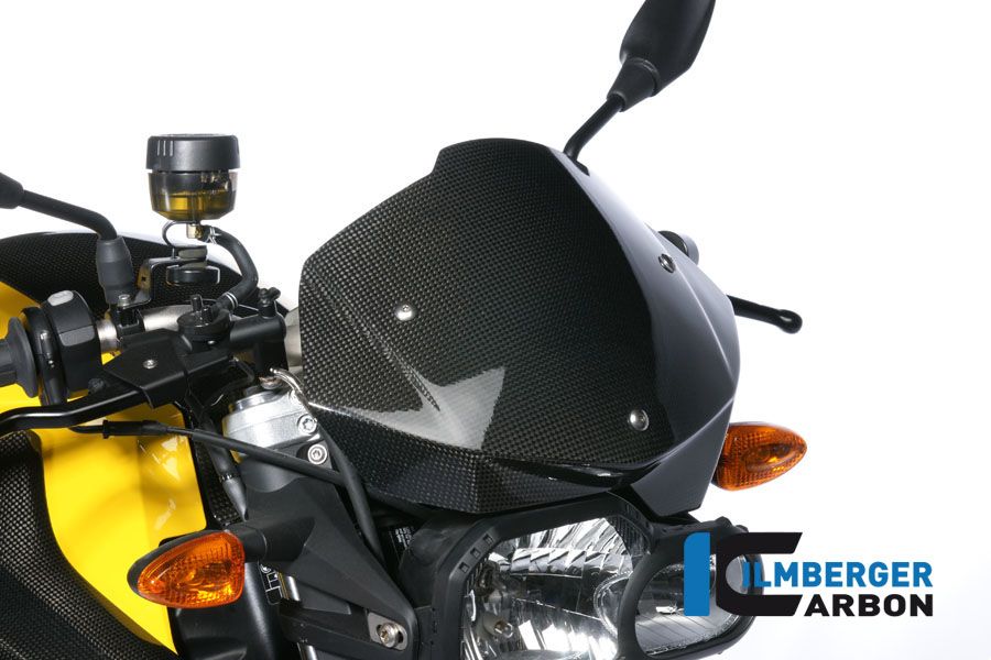 
                  
                    Windshield Carbon BMW F800R (2012-2014)
                  
                