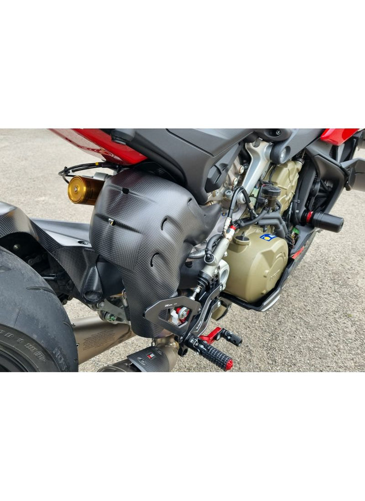 
                  
                    Euro5 Exhaust Heat Guard Carbon Ducati Streetfighter V4
                  
                