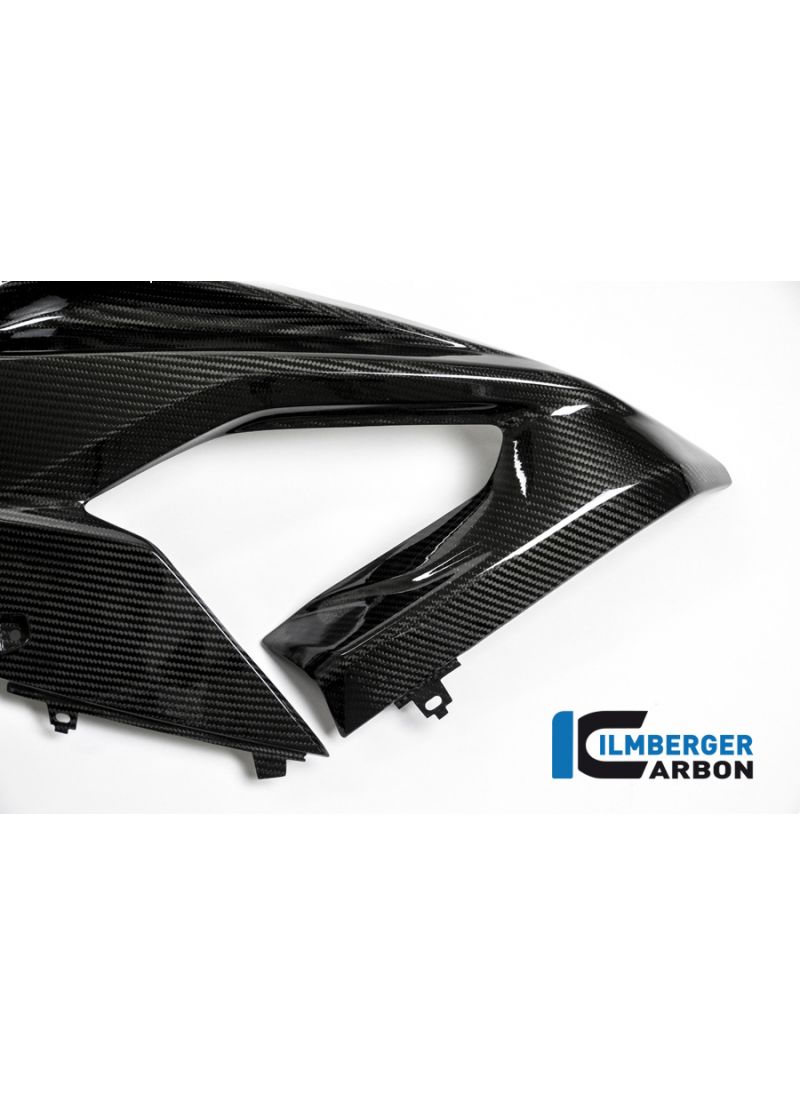 Fairing Side Panel (Left) S1000RR Street (2015-2016)