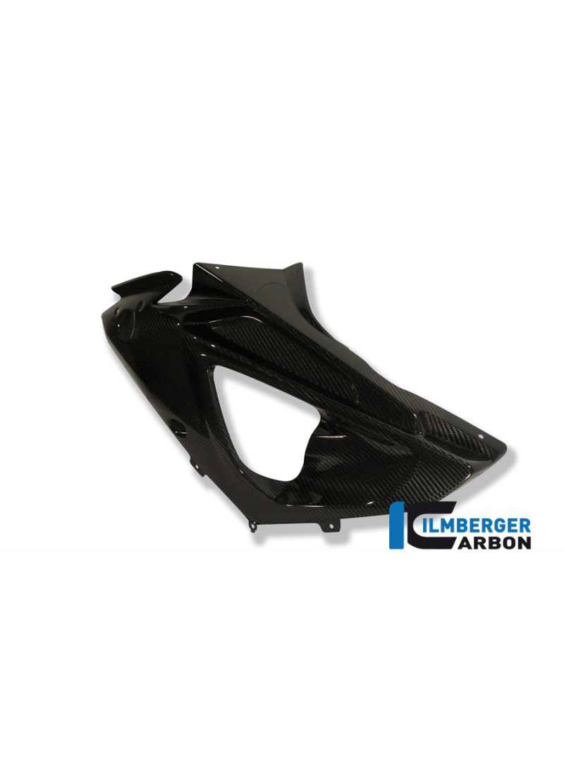 Carbon Lefts Side Cowl Racing BMW S1000RR Racing (2009-2011)