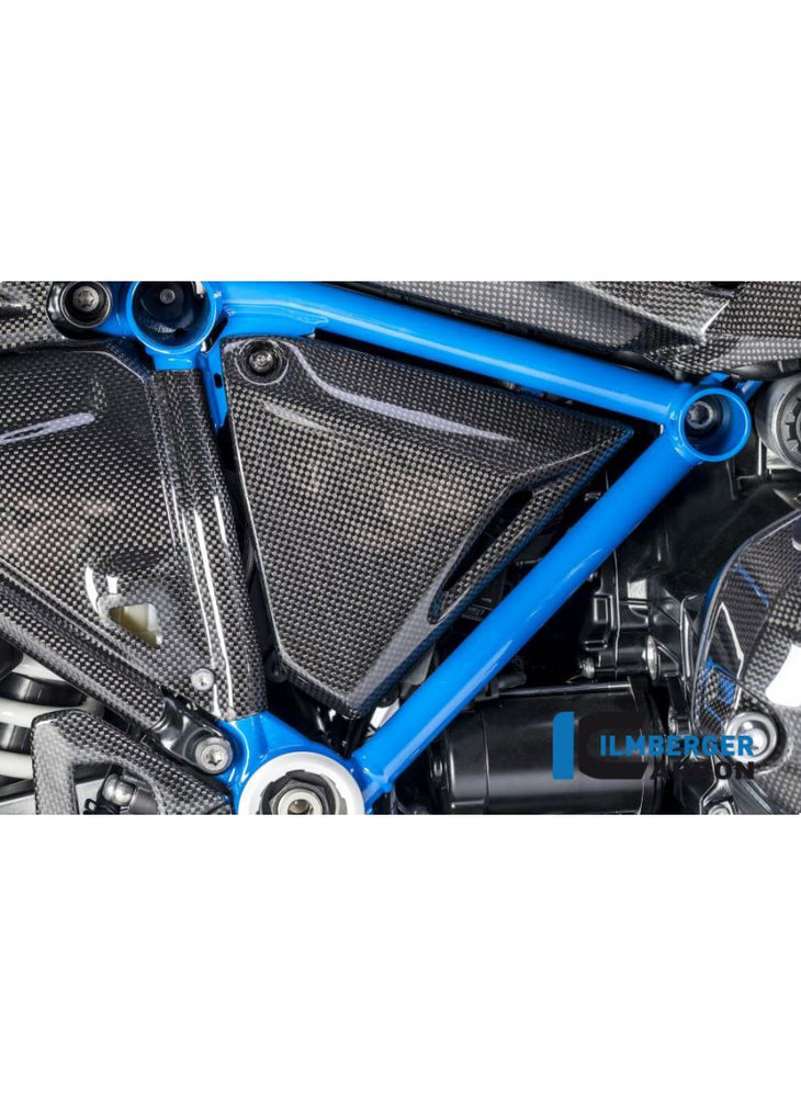 Carbon Frame Infill Panel Right Side R1200GS Rallye (2017-2018)