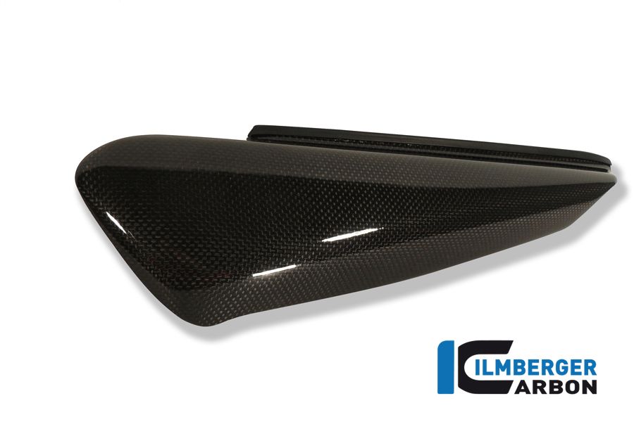 Seitenpanel Linksseitiges Monster 1993-2007 Ducati Monster S4R (2006-2009)